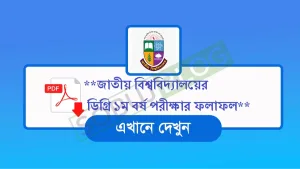 NU Degree 1st Year Result 2025 সবার আগে ফলাফল দেখুন
